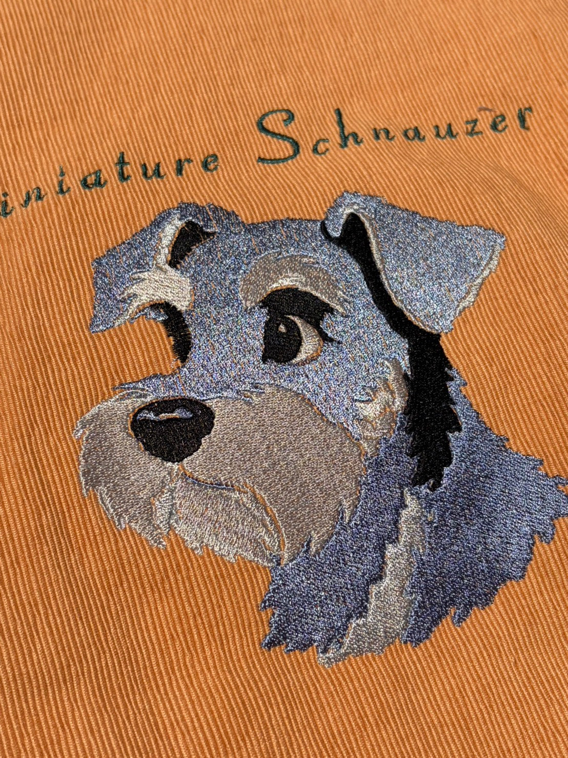 （ペット刺繍メーカー専用）海外アニメイラスト刺繍クッションカバー