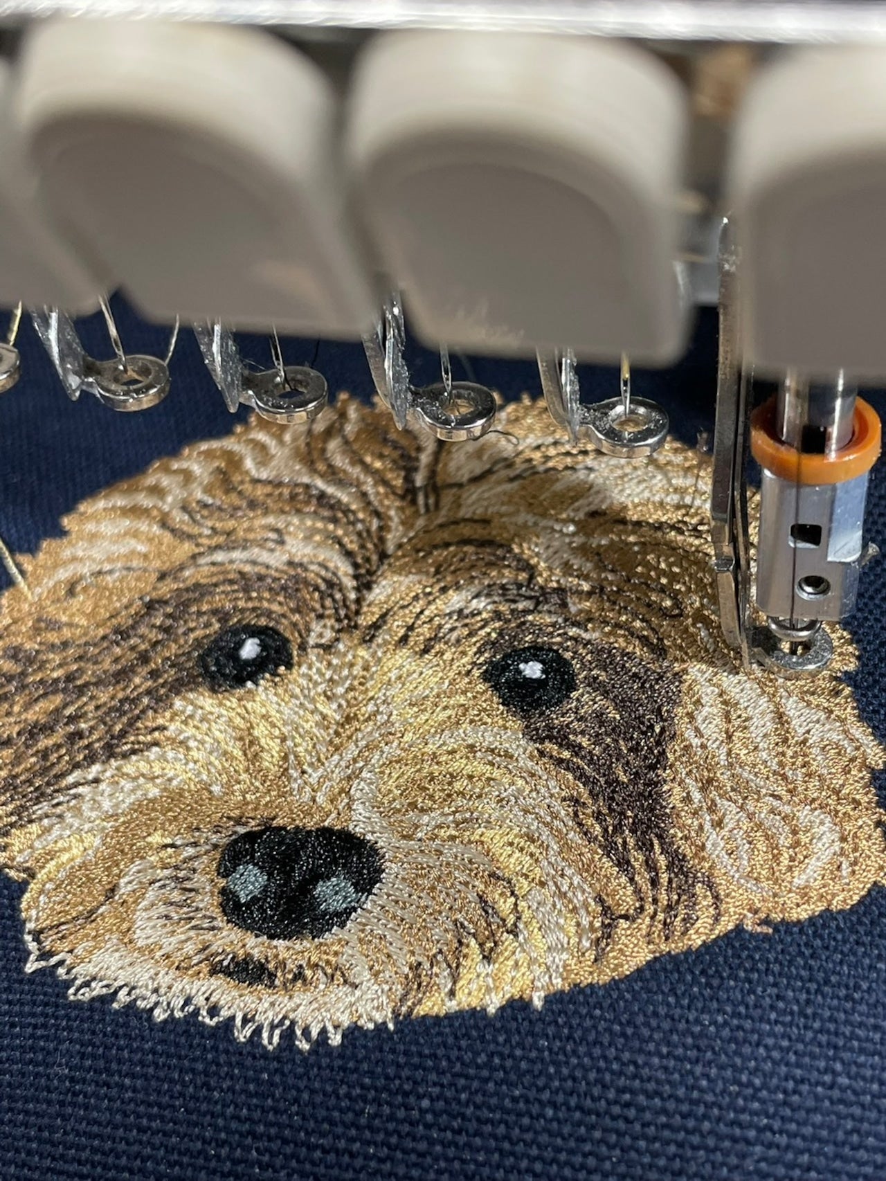 トイプードルの顔の刺繍をしている様子